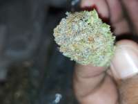 An image of Blue Tooth
