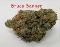 An image of Bruce Banner