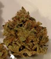 An image of Blue Kush