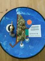 Banana Blaze archive 3