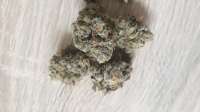 An image of Lemon Zkittle
