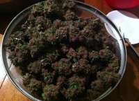 An image of Purple #1