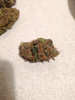 An image of Sherbet Punch