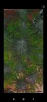 Image #08102127921256780
