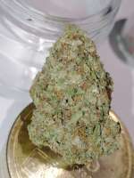 An image of Skunk Hero