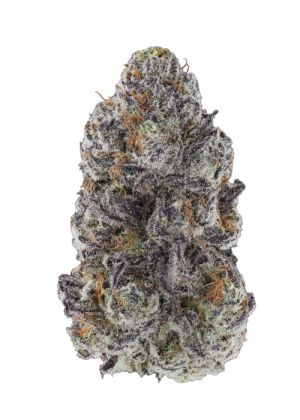 An image of Sundae Frost Auto™