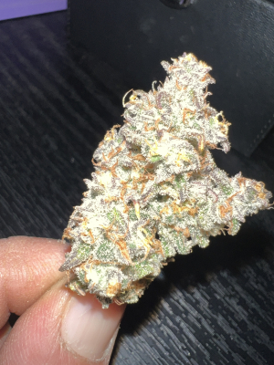 An image of Diesel Auto