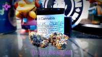 Grape Stomper: strain page photo, credit seedfinder.eu, copyright status shown with credit copyright unverified