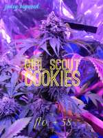 An image of Girl Scout Cookies
