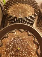 Scarlet Sunset archive 2