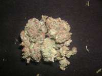 Ken's Kush archive 1