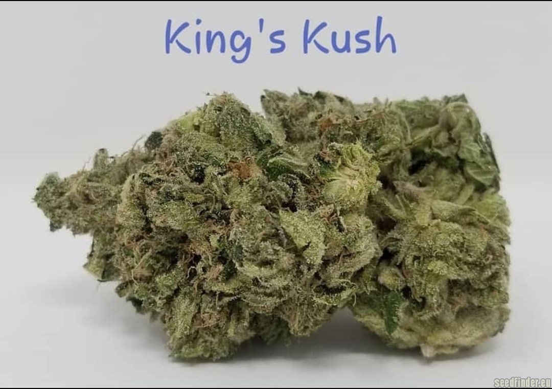 King's Kush flower, as labeled by the cited image source