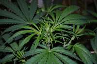 Enemy of the State archive 3