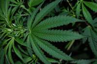 Enemy of the State archive 2