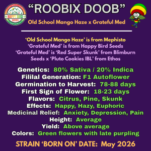 Roobix Doob's picture by HappyBirdSeeds