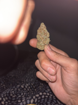 An image of Bozack