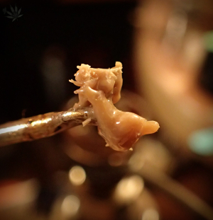 An image of Garlic Betty