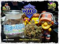 Dr. Who: strain page photo, credit seedfinder.eu, copyright status shown with credit copyright unverified