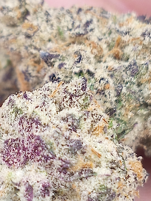 Forbidden Fruit: strain page photo, credit seedfinder.eu, copyright status shown with credit copyright unverified