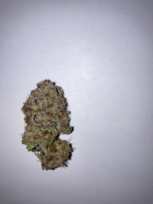 Blueberry Muffin: strain page photo, credit seedfinder.eu, copyright status shown with credit copyright unverified