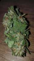 An image of Chocolate Mint OG