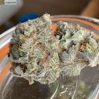 Banana Caked archive 1