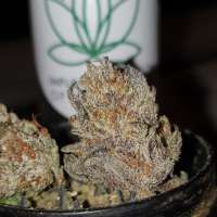 Banana Caked archive 2