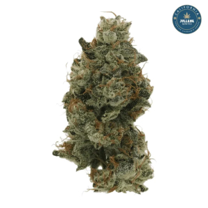 An image of Blue Surge