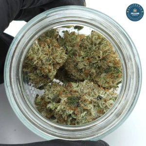 An image of Blue Surge