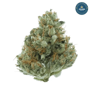 An image of Blue Surge