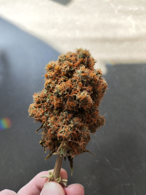 An image of GSC