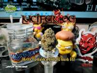 An image of Lucifer OG