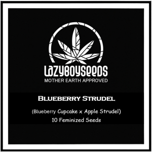 An image of Blueberry Strudel 