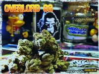 Underdog OG archive 4