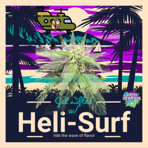 Heli-Surf