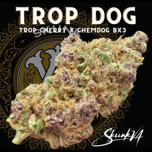 An image of Trop Dog