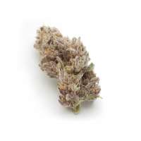 Fisheye OG archive 3