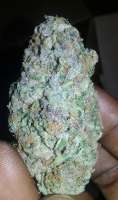 An image of Mendocino Purple Kush
