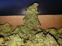 Heisenberg Special archive 3