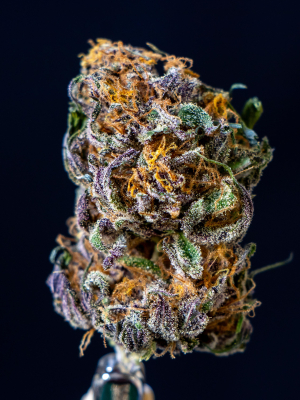 An image of Cherry On the cake