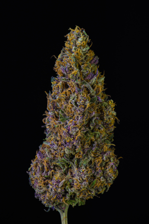 An image of Cherry On the cake