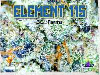 Element 115 archive 1