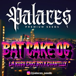 An image of Bat Cake OG
