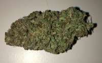 An image of Puna Buddaz