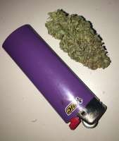 An image of Puna Buddaz