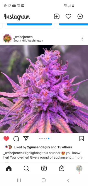 An image of Plummberry Blast