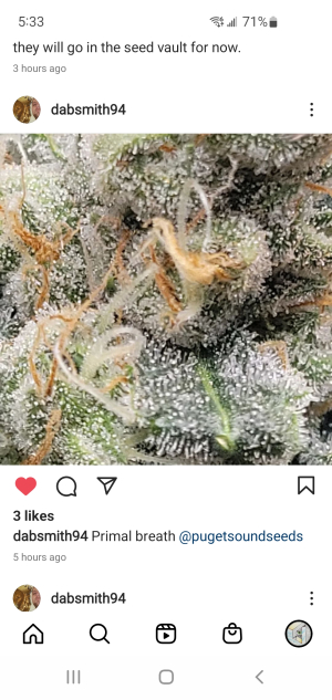 An image of Primal Breath