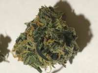 An image of Forbidden Fruit x Watermelon Zkittlez
