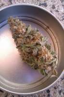 An image of Doc's OG