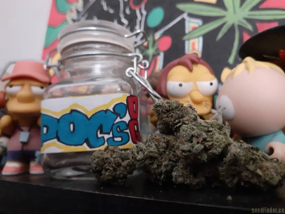 Doc's OG flower, as labeled by the cited photo source